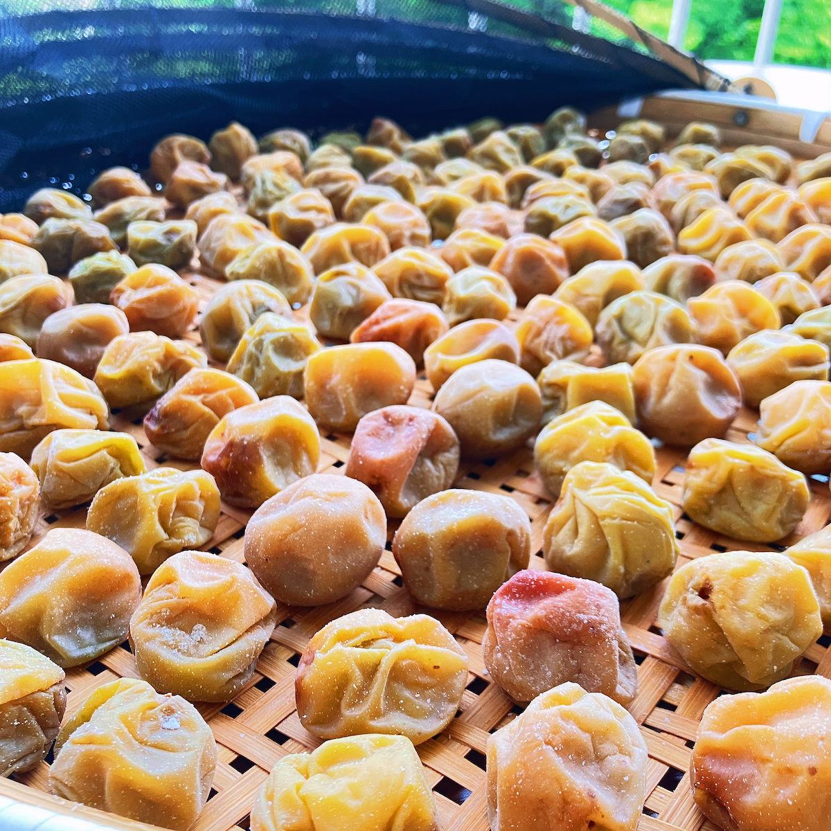 今年の梅仕事 | evergreen works online store