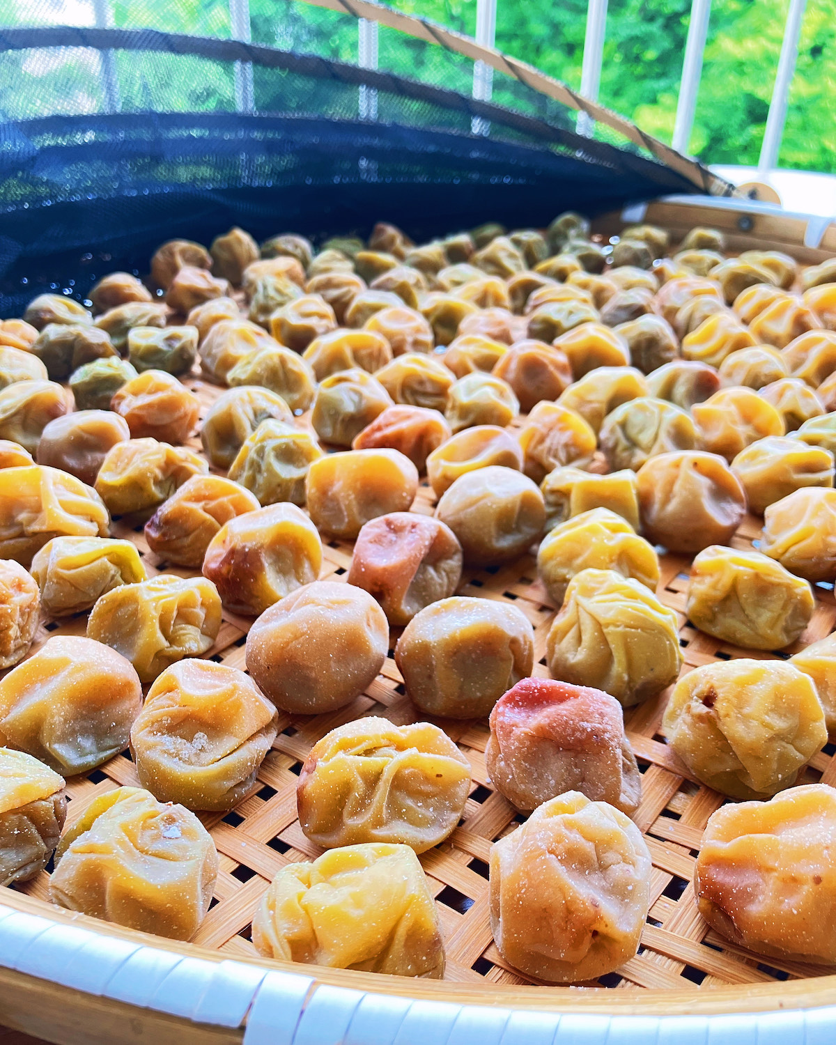 今年の梅仕事 | evergreen works online store