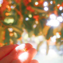 揺れる心と秋の空