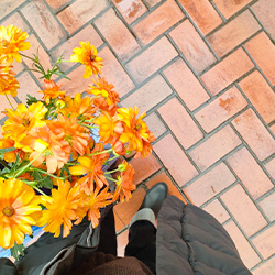 すぐお隣の高島屋さんと、春のうれしいこと